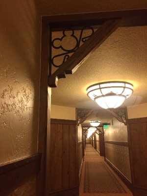 IMG_0434.jpeg