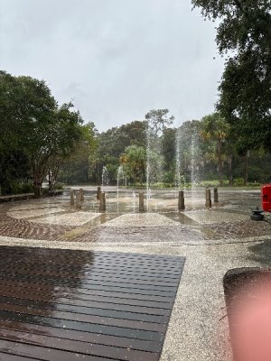IMG_0990.jpeg