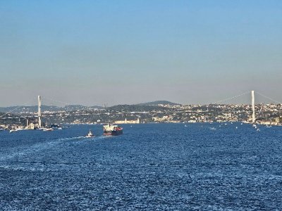 20240913_171651[1].jpg
