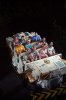 AK_DINOSAURRIDE_7282105215TR.jpg