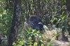 DSC_0289TR.jpg