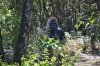 DSC_0287TR.jpg