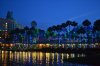 DSC_0334TR.jpg