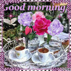 IMG_4872.gif