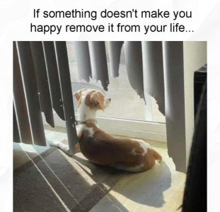 1000001734.jpg