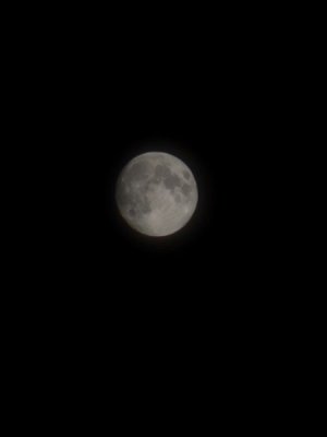 20241213_224410.jpg