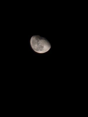 20241119_221528.jpg