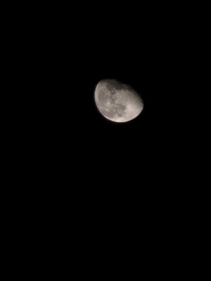 20241119_221532.jpg