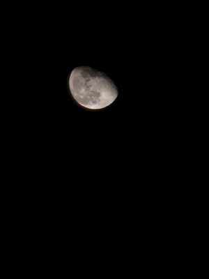 20241119_221524.jpg