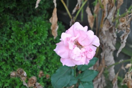 DSC_8399 (Small).JPG