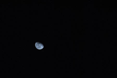 DSC_5652.JPG