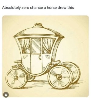 1737158703066.jpeg
