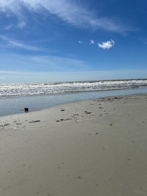 IMG_1050.jpeg