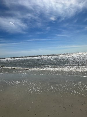 IMG_1064.jpeg