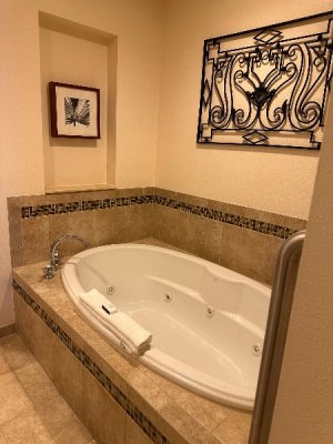 IMG_1199.jpeg