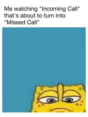 1737235302050.png