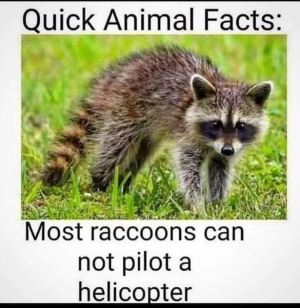 678b35adb64fa.png