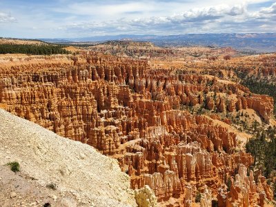 20210518_115739[1].jpg