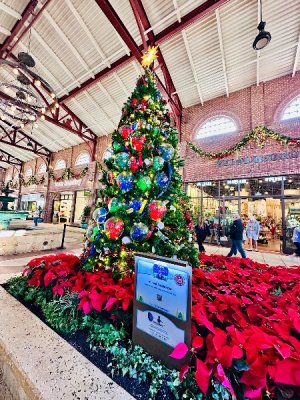 IMG_2025-01-18-091255.jpg