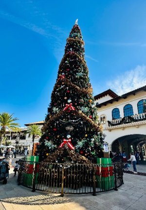IMG_2025-01-18-091424.jpg