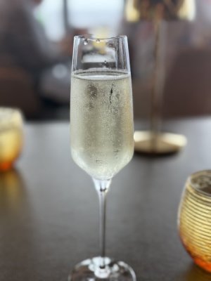 IMG_0235.jpeg