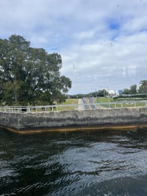 IMG_6947.jpeg