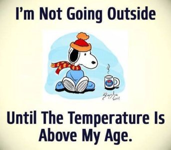 age1.jpg