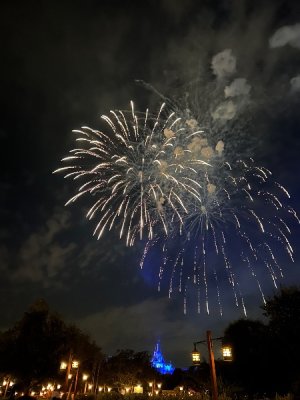 IMG_1491.jpeg