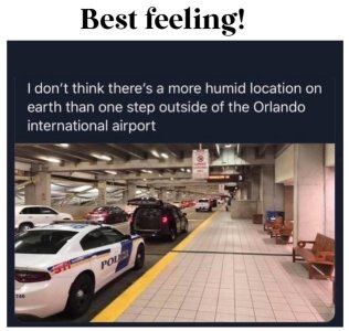 IMG_1389.jpeg