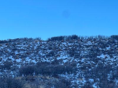 IMG_0170.jpeg