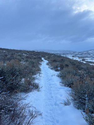 IMG_0167.jpeg