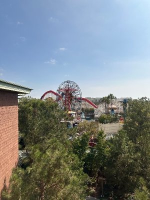 IMG_8440.jpeg