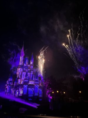 IMG_6994.jpeg
