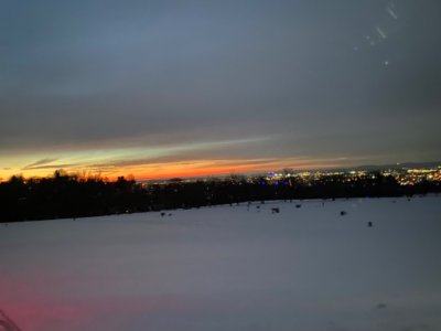 IMG_4010.jpeg