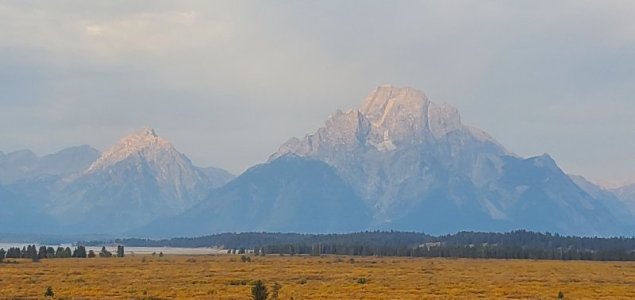 20210910_074408[1].jpg