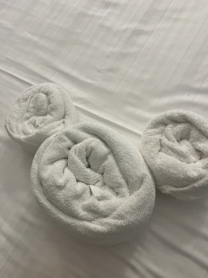 Towel animal.jpeg