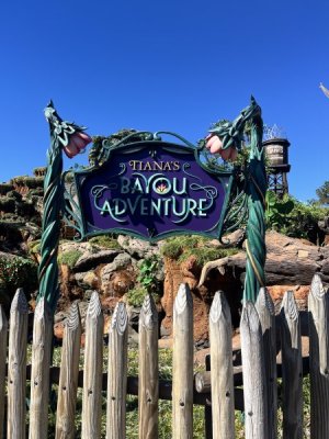Tiana sign.jpeg