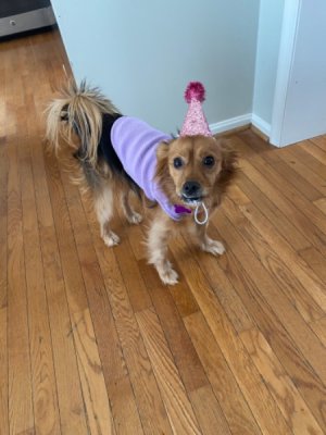 IMG_4037.jpeg