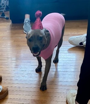 IMG_4038.jpeg