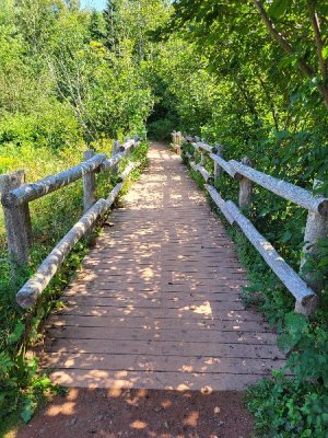 20240827_123149.jpg