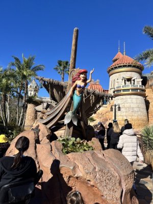 Little Mermaid.jpeg