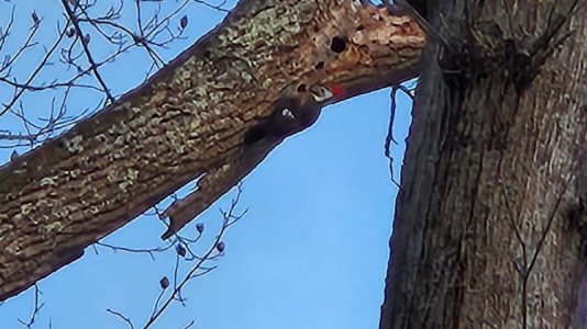 20250125_170013.jpg