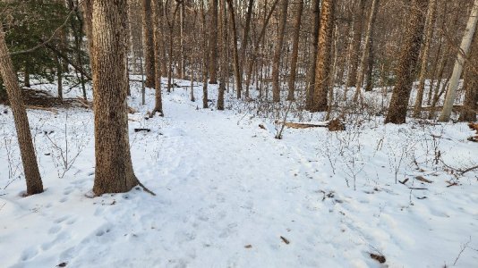 20250125_162445.jpg