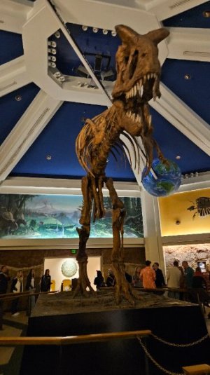 20250110_094848.jpg