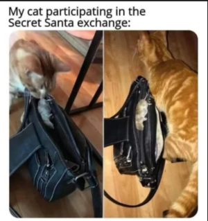 67971e5891b31.png