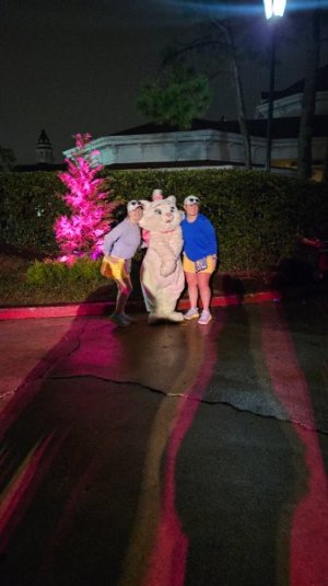 20250111_063757.jpg