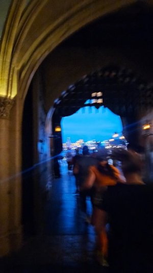 20250111_070504.jpg