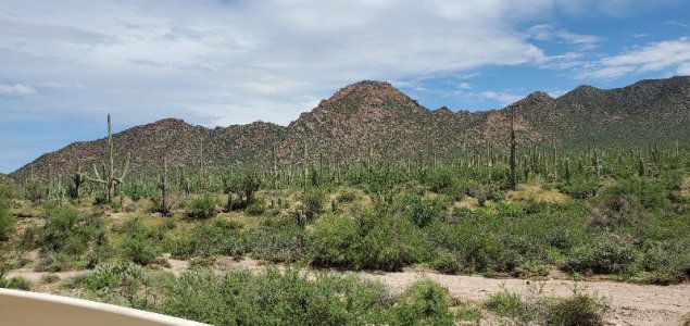 20210814_111824[1].jpg