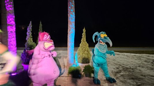 20250112_055242.jpg