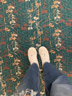 IMG_7242.JPEG